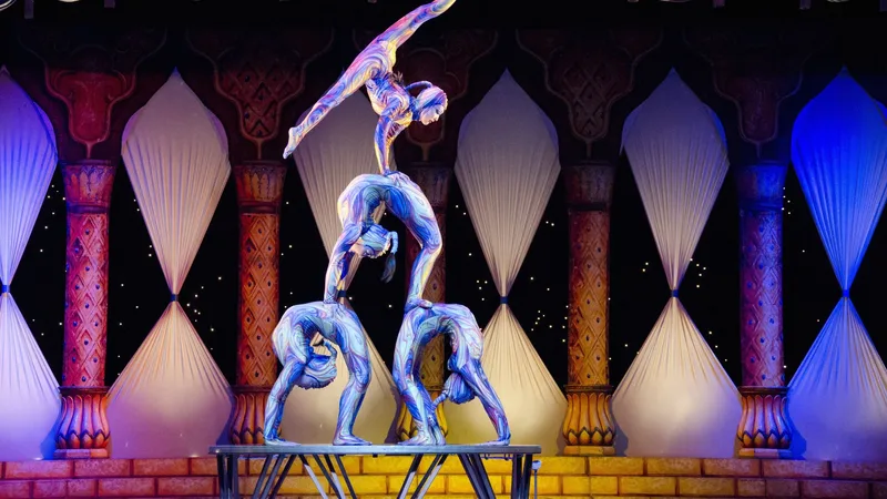 VIP Cirque Journey: Expect the Unexpected